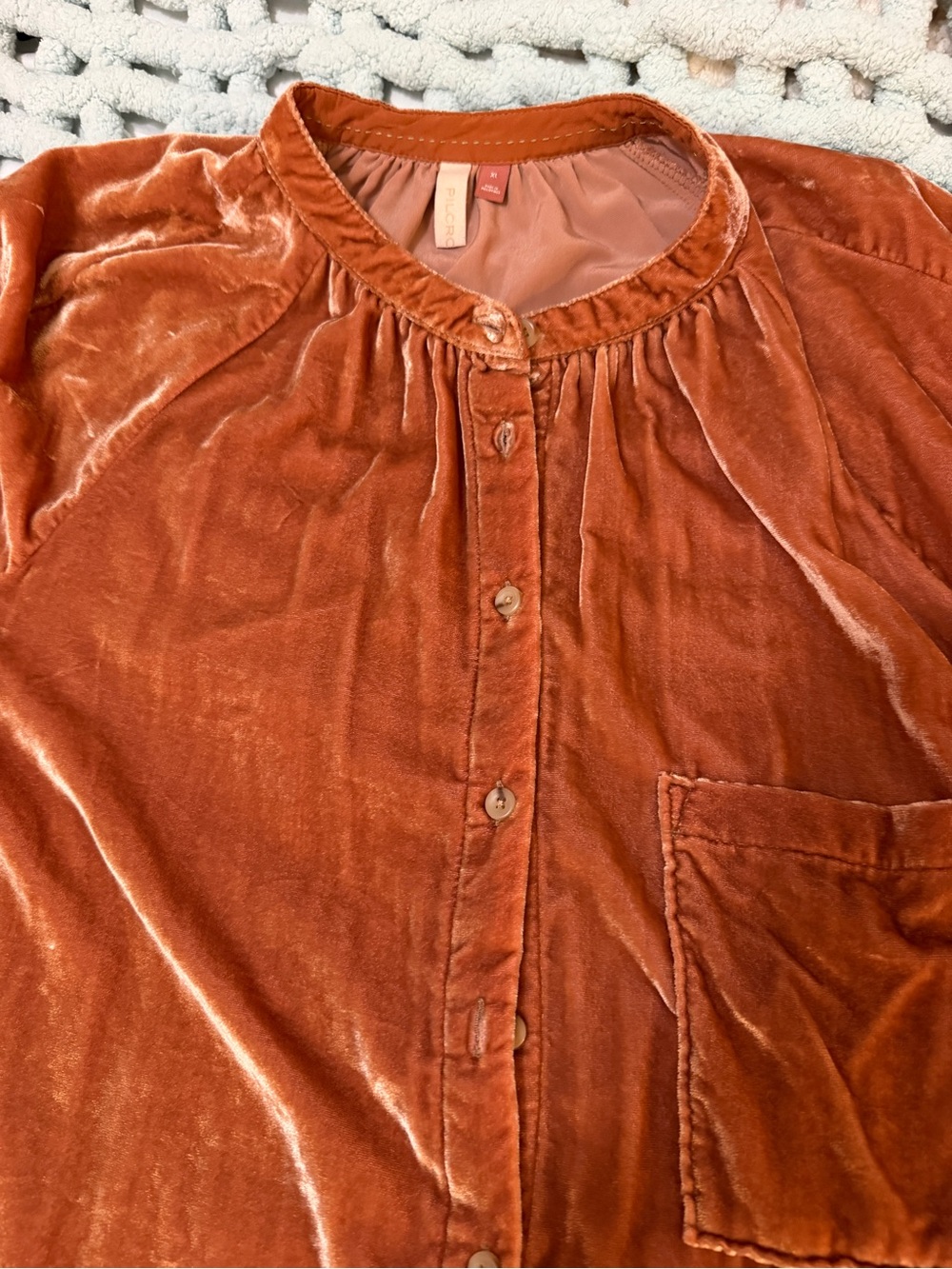 Pilcro Velvet Button-Front Blouse in Burnt Orange XL - Picture 15 of 16